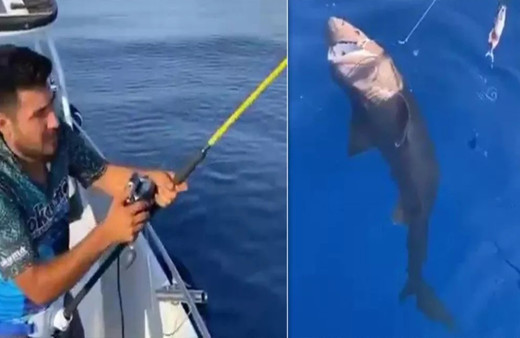 Antalya'da amatör balıkçılar oltayı çekince büyük şok yaşadı