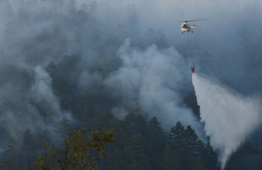 Çanakkale'deki orman yangını kontrol altına alındı