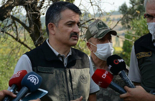 Pakdemirli'den yangınlarla ilgili açıklama