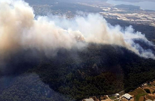 Ormanı 'keyfi' için yakan şüpheli tutuklandı