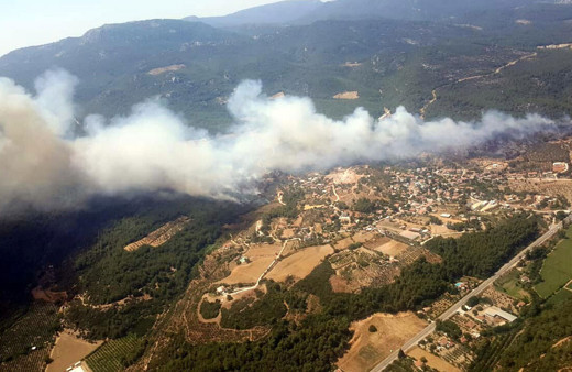 Menderes'te orman yangını