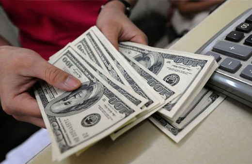 Döviz hesapları 220 milyar dolara dayandı! Rekor seviyesini güncelledi