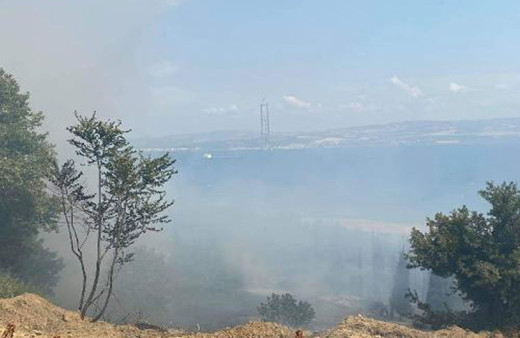 Çanakkale Gelibolu'da orman yangını çıktı