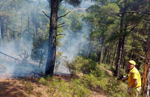 Kütahya'da çıkan yangınların nedeni belli oldu