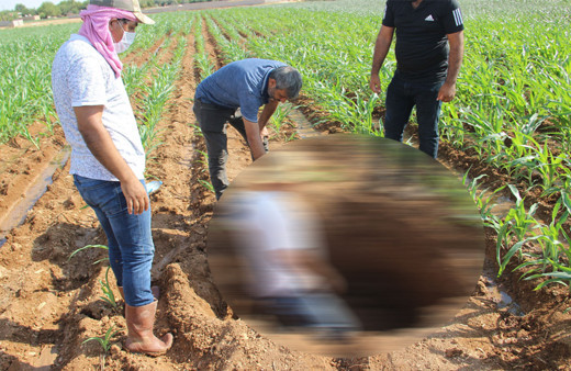 Malatya depremi sonrası Şanlıurfa’da dev obruk! Köylüler şokta