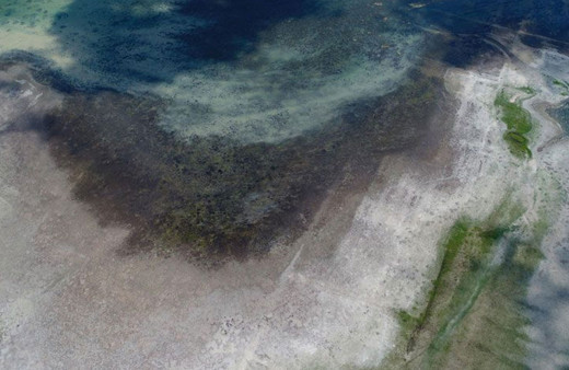 Büyükçekmece Gölü'nde su seviyesi düştü! Son hali korkunç