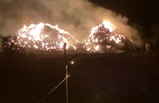 Tekirdağ'da 8 bin saman balyası yandı