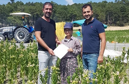 Fen Lisesini kazandığını tütün tarlasında öğrendi