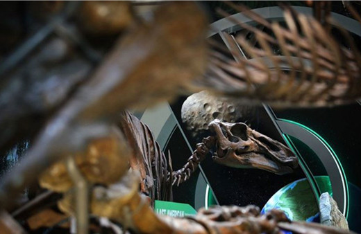 T-Rex'in benzeri yeni bir dinozor türü keşfedildi