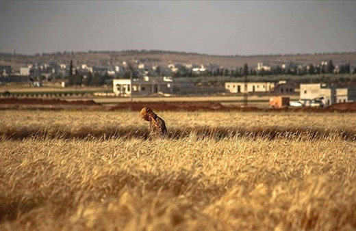 Esed zorunlu askerliği kabul etmeyenleri mayın tarlasına sürdü 8 ölü