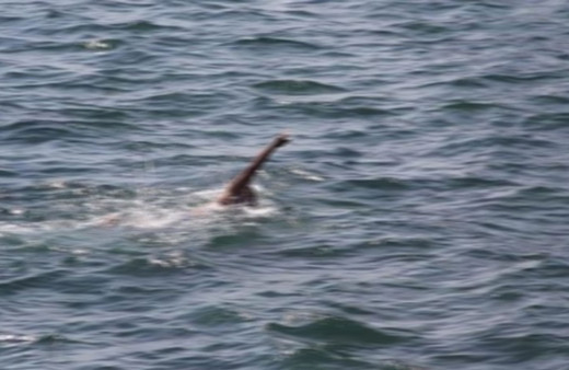 Şanlıurfa'da sulama kanalına giren 12 yaşındaki çocuk can verdi!