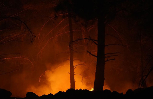 Kazdağları'nda orman yangını! Kontrol altına alınmaya çalışılıyor