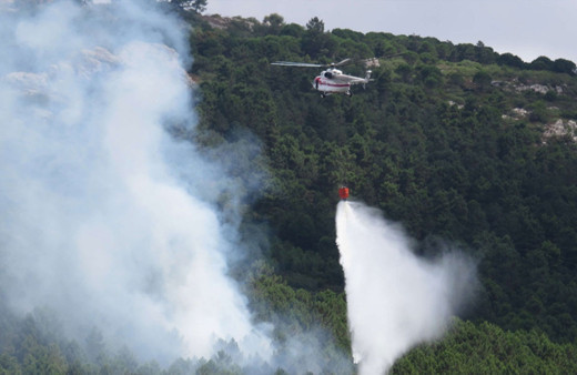 Beykoz'da orman yangını!