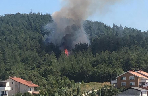 Bursa'da orman yangını! Villaların bahçeleri yanmaya başladı