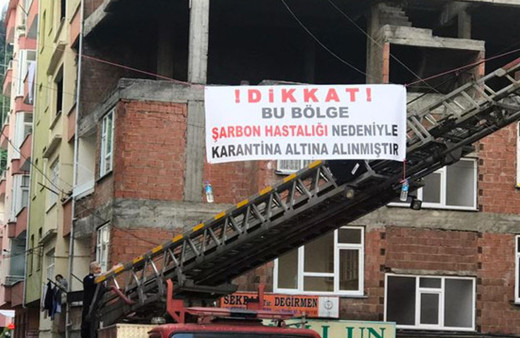 Trabzon Sürmene'de şarbon alarmı! Dağıttığı et herkesi hastanelik etti