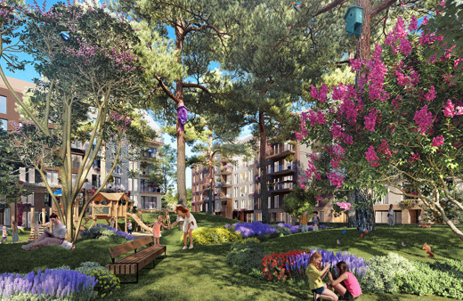 Bu evlere talep patlaması yaşanıyor! İşte orman içindeki o sağlıklı evler