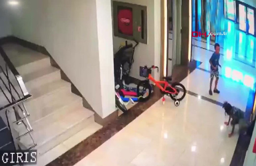 Beylikdüzü'nde kadının komşu çocuğunu dövme anları kamerada