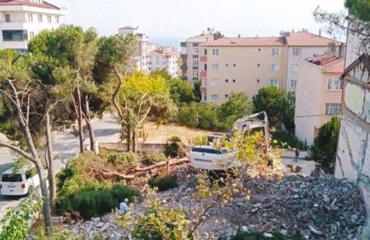 Kartal'da isyan ettiren ağaç katliamı! Asırlık ağaçları kesip 'cezası neyse öderiz' dediler