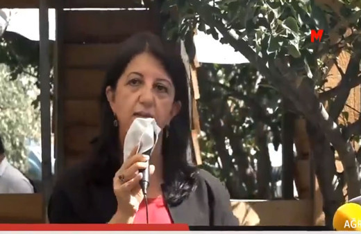 Şu terbiyesiz yoruma bakın! Pervin Buldan'a müjde gaz yaptı