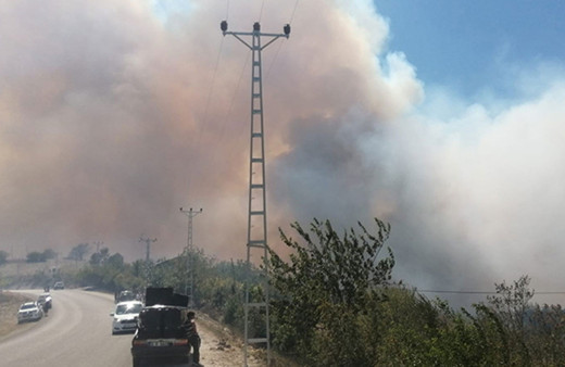 Adana'nın Kozan ilçesinde orman yangını