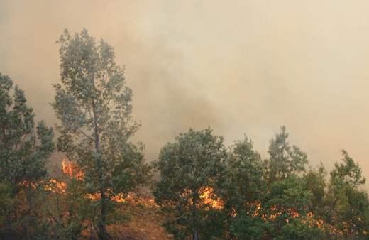 Adana'daki yangında 6 köy boşaltıldı