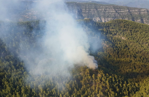Manavgat'taki yangın kontrol altına alındı