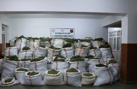 Diyarbakır'da 4 milyon kök kenevir ve 800 kilo esrar ele geçirildi