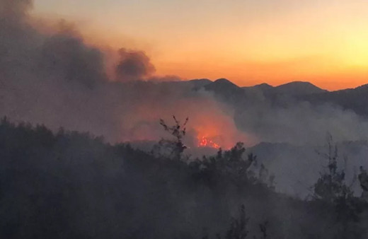 Kozan'daki orman yangını hala kontrol altına alınabilmiş değil