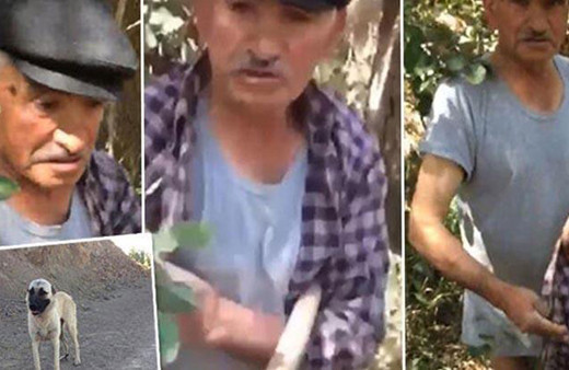 Sivas'ta köpeğe tecavüz ederken yakalandı! O anlar kameraya yansıdı