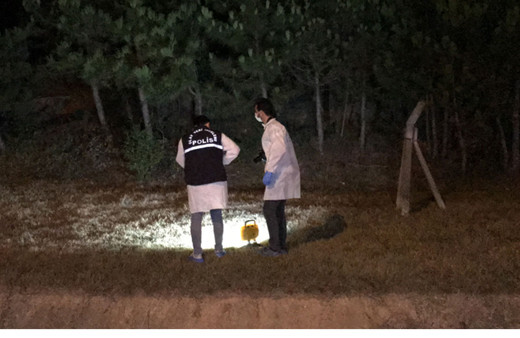 Aydos Ormanı'ndaki yangına müdahale eden itfaiye personeline ateş açtılar!