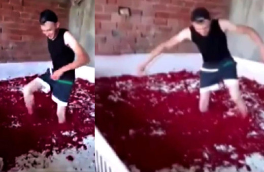 Çıplak ayakla salça havuzuna girmişti! Balıkesir'deki işletmenin faaliyeti durduruldu