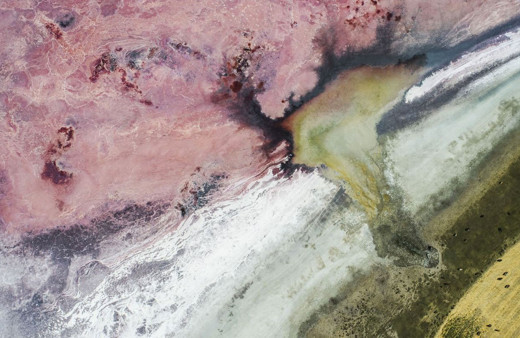 Konya'da ortaya çıktı doğanın dengesi bozuldu gölün hali ürküttü