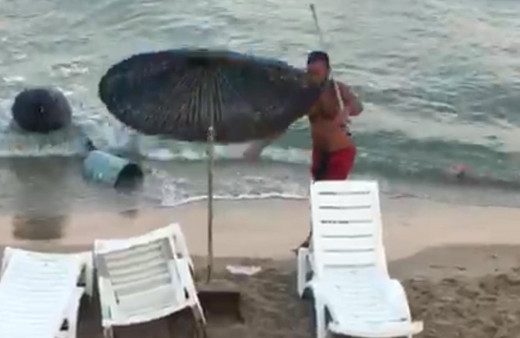 Aydın'da bir 'halk düşmanı'nın korkunç görüntüleri! Yaptıkları akıl alır gibi değil