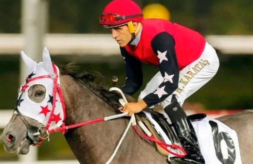 Atı yumruklayan Halis Karataş'ın cezası belli oldu