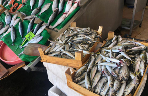 Balık yasağı kalktı tezgahlar palamutla doldu fiyatlar yine de pahalı