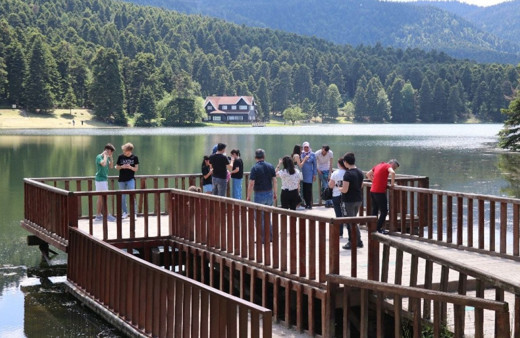 Bolu'da karantina altında olması gereken 78 kişi piknik alanlarında yakalandı