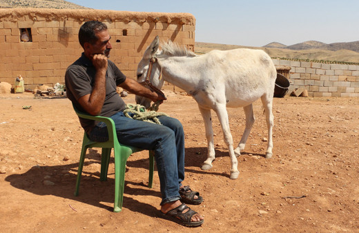 7 taksit şeklinde satın aldığı eşeği kalan 5 taksiti ödeyemediği için elinden alınacak