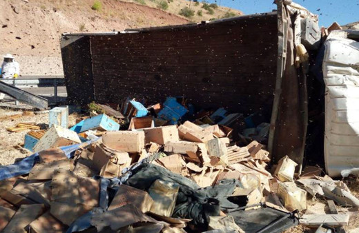 Malatya'da arı kovanı yüklü kamyon devrildi: 3 ölü