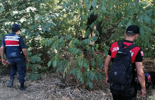 Yürüyüş yapmak için çıktı geri dönmedi! Şevkinaz Zencir'den halen haber yok!