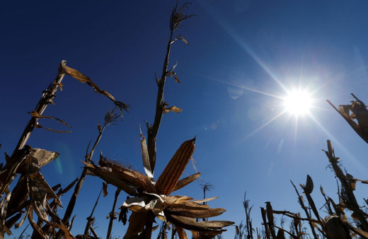 Dünya, kayıtlardaki en sıcak 12 aylık dönemi yaşadı!