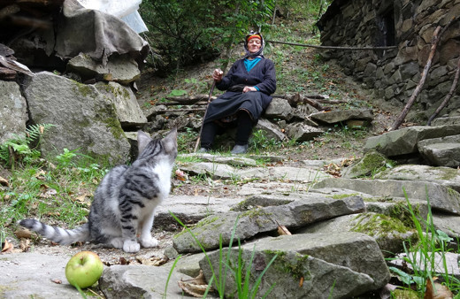 Köyüne küstü 36 yıldır yaylada yaşıyor Trabzon'da ‘Robinson Nine' belgesel oldu