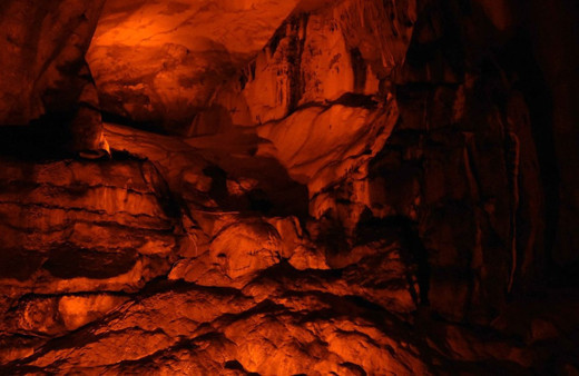 Konya'da görenleri büyüledi! 230 milyon yaşında Türkiye'nin en uzunu