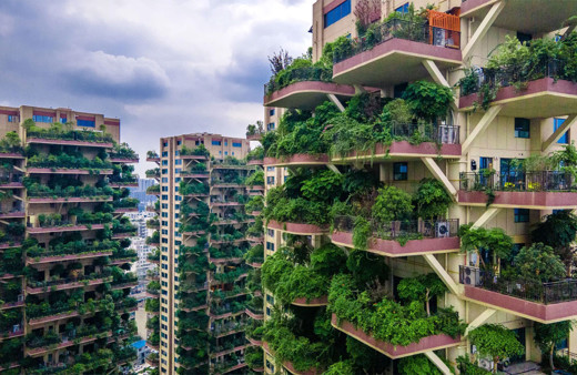 Orman apartmanı yaptılar ekolojik cennet hayali tam bir felakete dönüştü