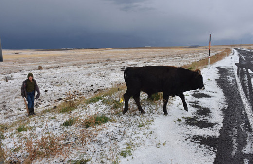 Kars eylülde beyaza büründü! Dolu yağışı kent merkezinde hayatı durdurdu