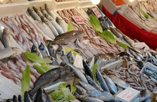 Fiyat düştü! Palamut bolluğu yüz güldürdü