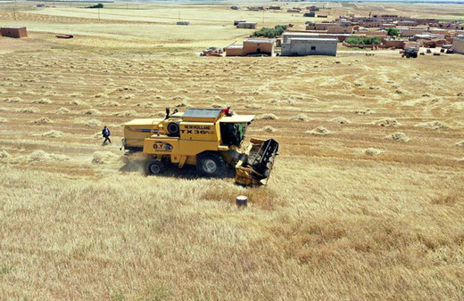 Tel Abyad'da PKK/YPG işgali bitti ticaret başladı