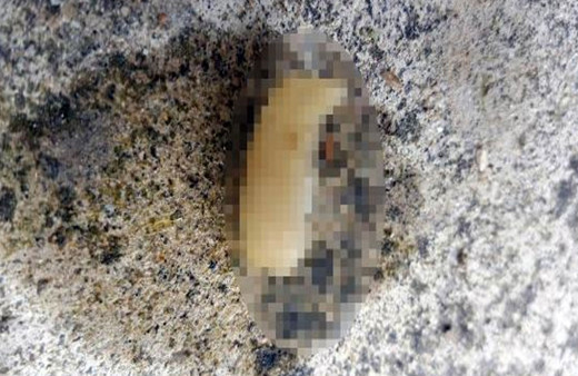 Tekirdağ'da yaşandı! Yediği yemekten insan parmağı çıktı: Psikolojim bozuldu