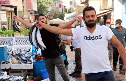 Tezgahlarda palamut bolluğu: Bu paraya bir daha bu balık düşmez