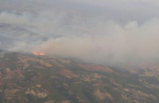 Manisa'daki orman yangını 21 saatte kontrol altına alındı! 50 hektar zarar gördü