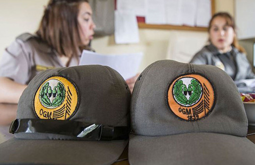 Orman Genel Müdürlüğü 274 daimi işçi alacak işte o pozisyonlar